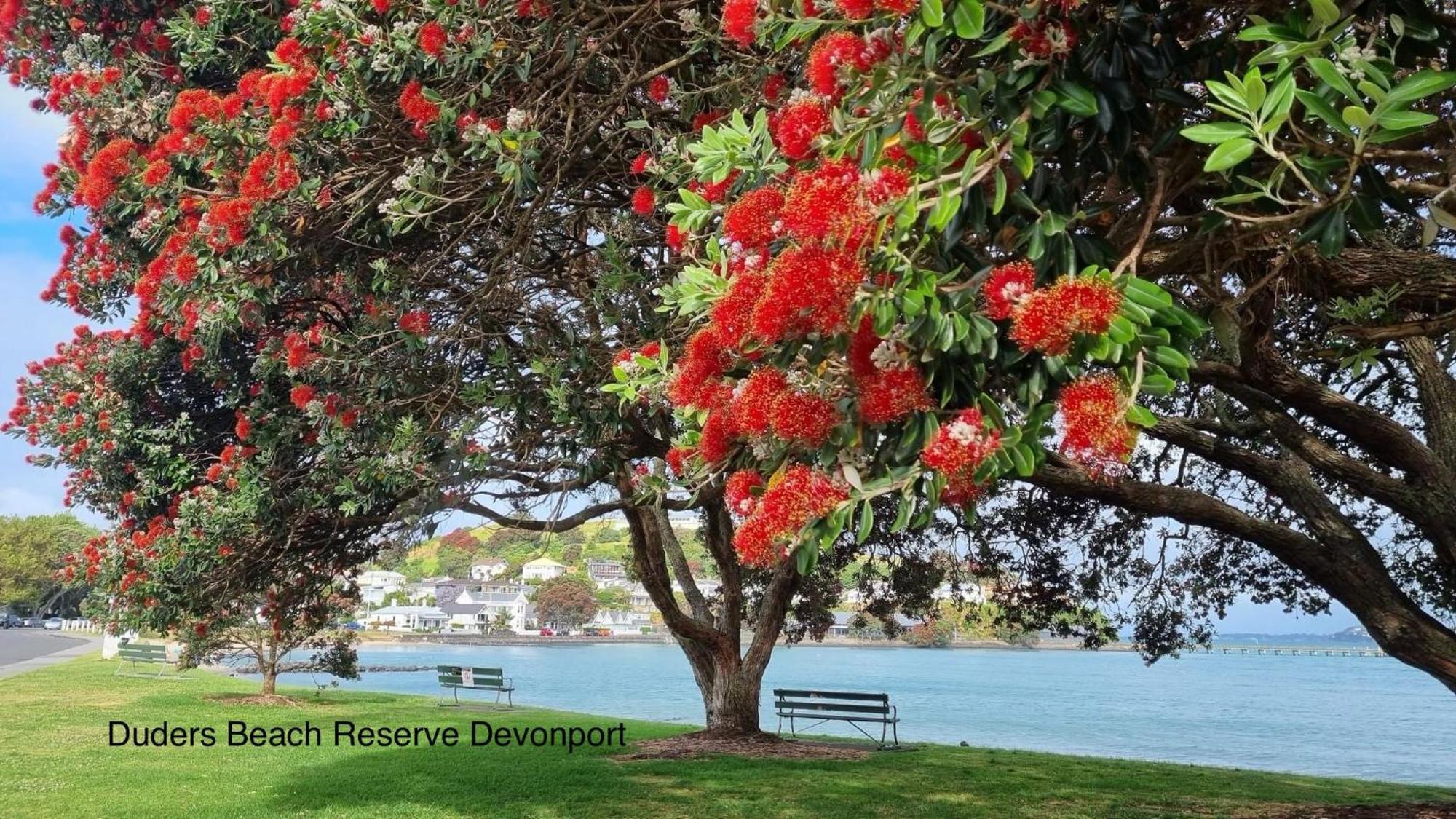 The Partchery Devonport Auckland Exteriér fotografie